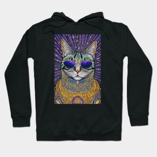 Cosmos Cat Wearing Sunglasses- Orion! Hoodie